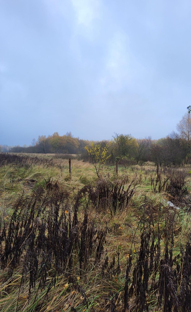 Warszewo- możliwa zabudowa bliźniacza (6)