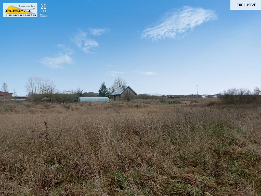 Działka w Wąwelnicy (2)