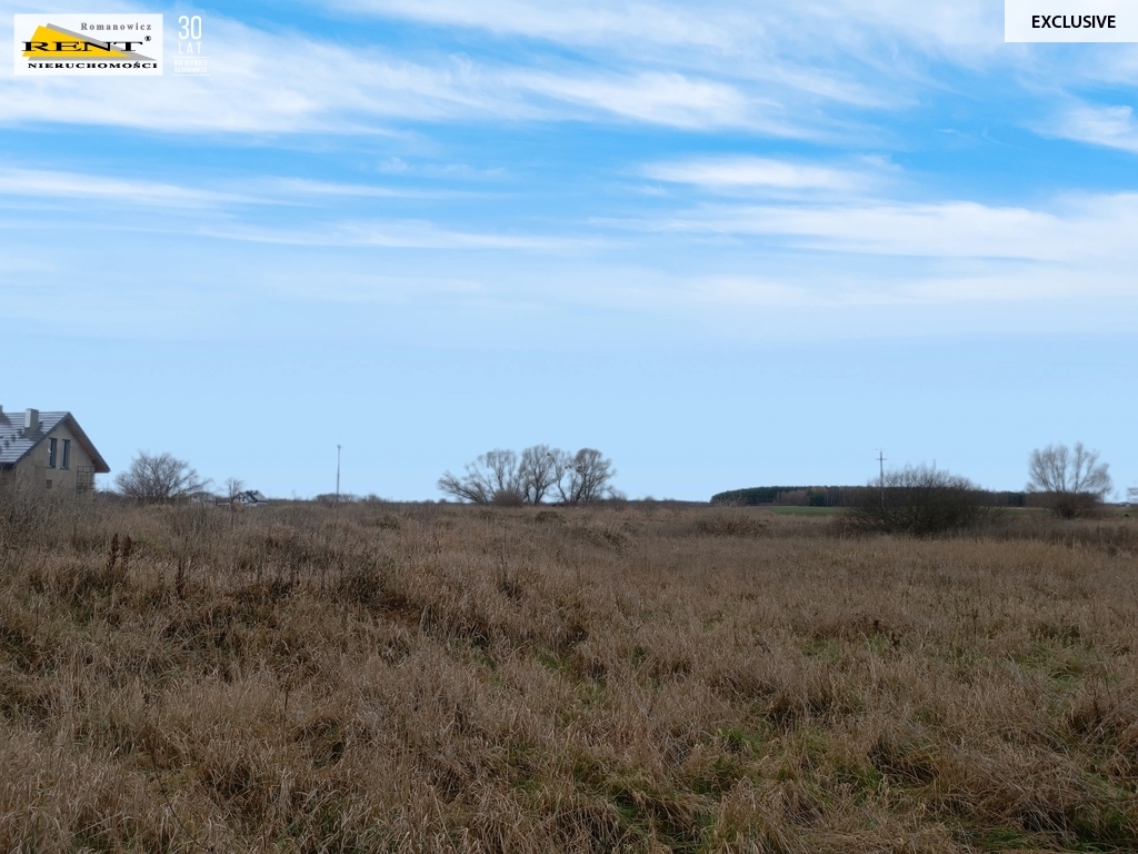 Działka w Wąwelnicy (3)