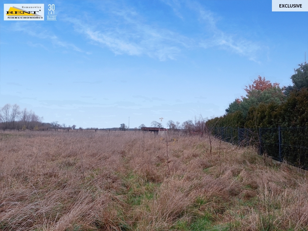 Działka w Wąwelnicy (4)