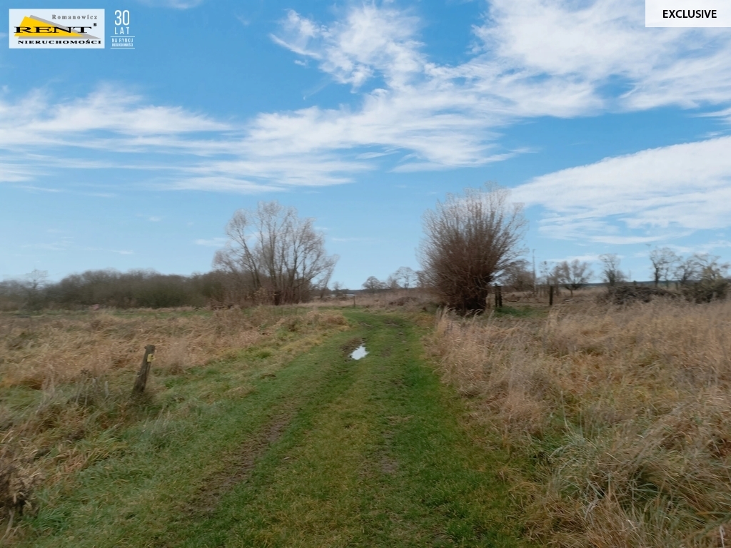 Działka w Wąwelnicy (7)