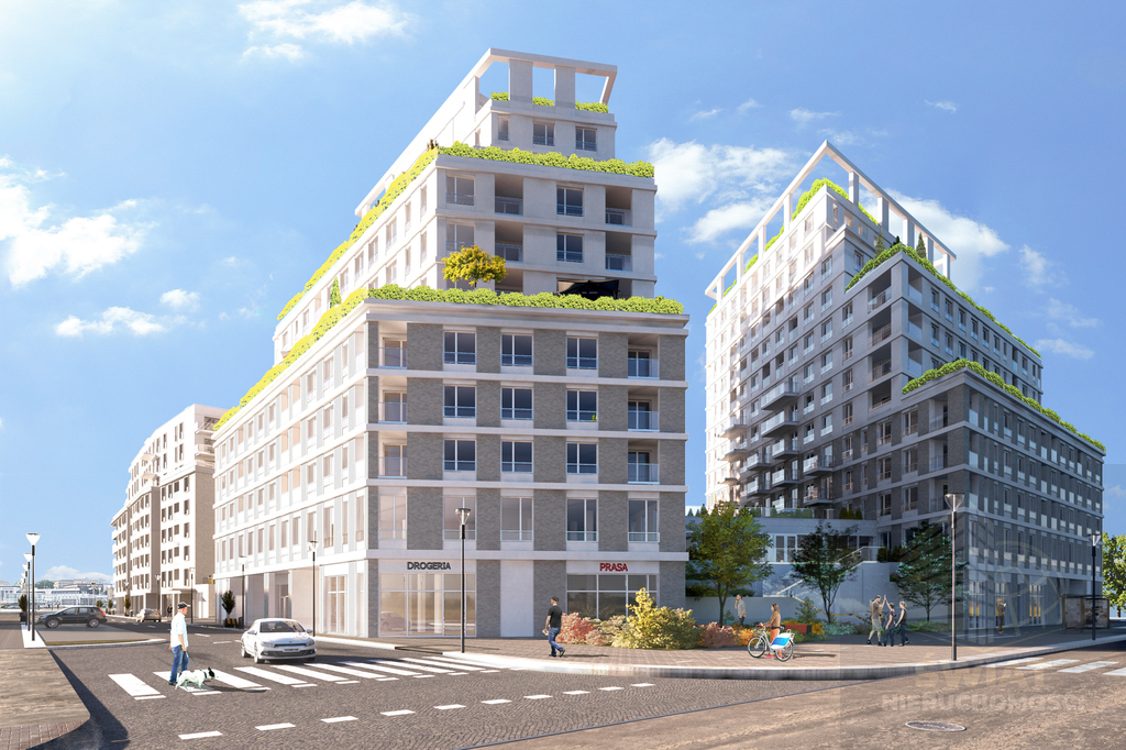 Lokal użyt. stan deweloperski 361 m2 (3)