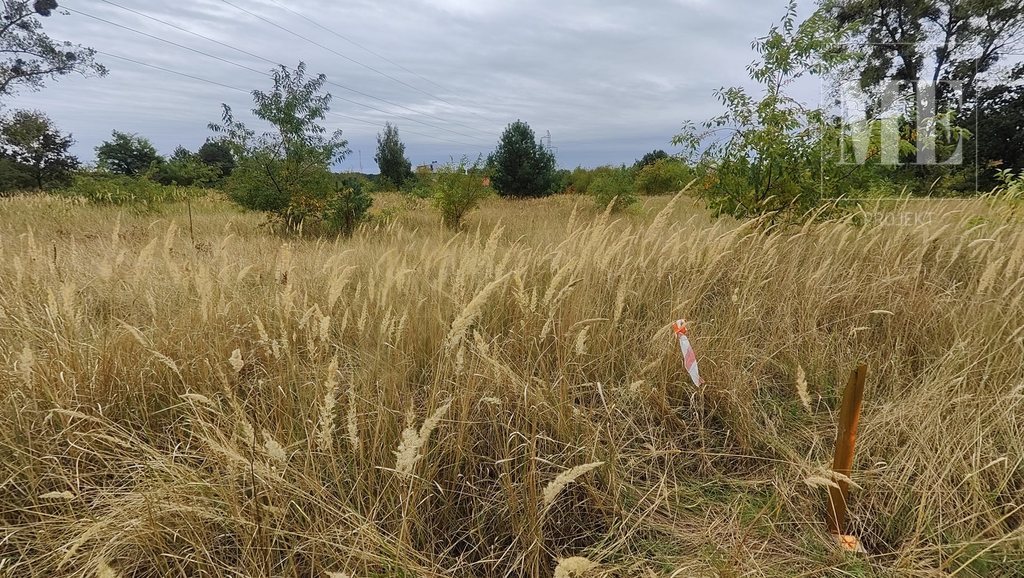 Działki w Rurzycy blisko las, nowa zabudowa (3)