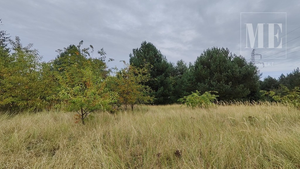 Działki w Rurzycy blisko las, nowa zabudowa (4)