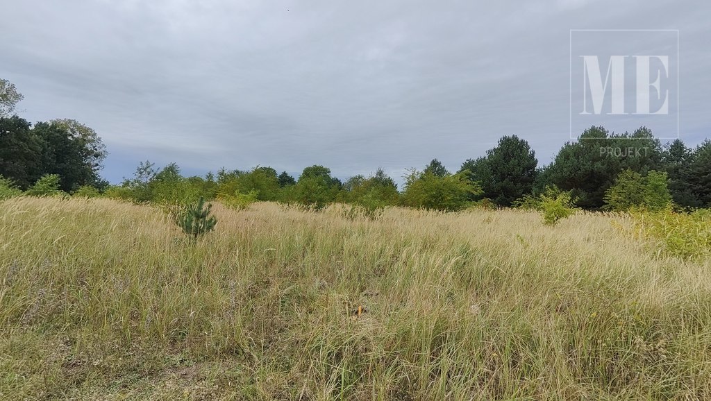 Działki w Rurzycy blisko las, nowa zabudowa (7)