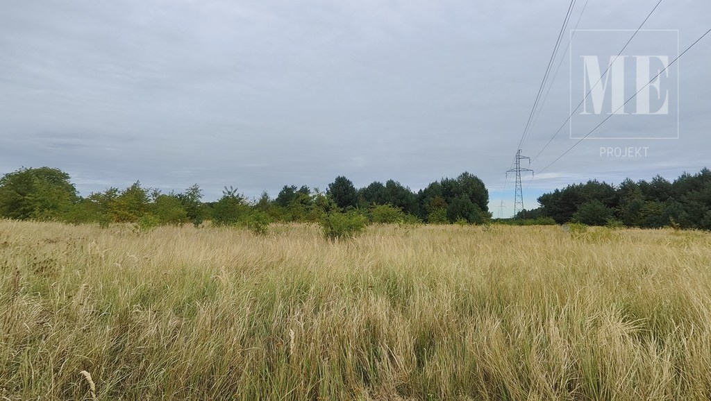 Działki w Rurzycy blisko las, nowa zabudowa (10)