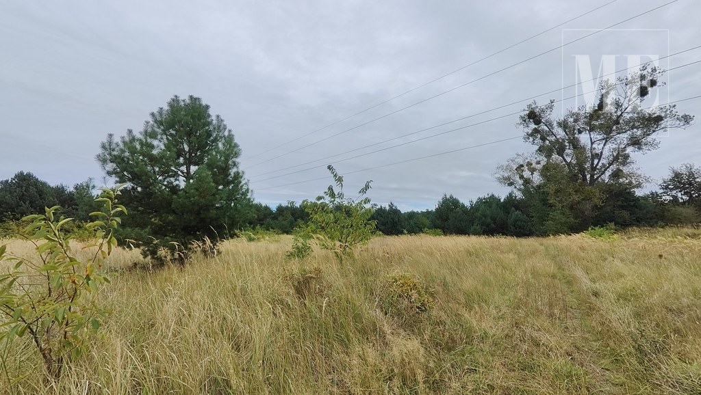 Działki w Rurzycy blisko las, nowa zabudowa (11)