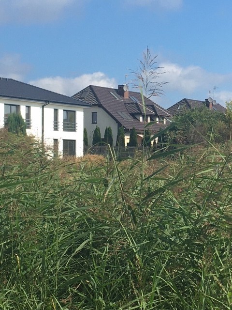 Budowlana, 801 m2, Bezrzecze  (2)