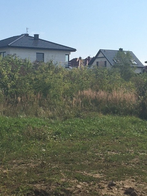 Budowlana, 801 m2, Bezrzecze  (6)