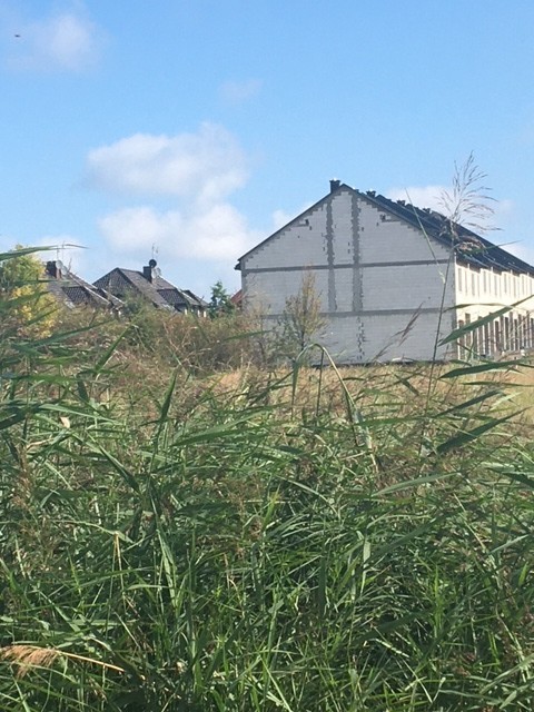 Budowlana, 801 m2, Bezrzecze  (8)