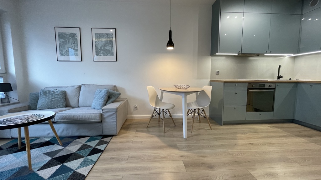 Na sprzedaż mieszkanie w Kamienicy Nova II (1)