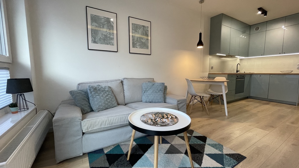 Na sprzedaż mieszkanie w Kamienicy Nova II (4)