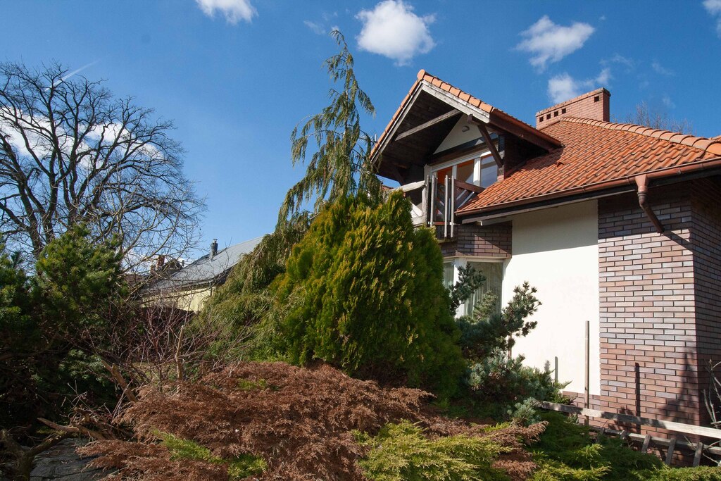 Piękny dom na Osowie z lokalem użytkowym (2)