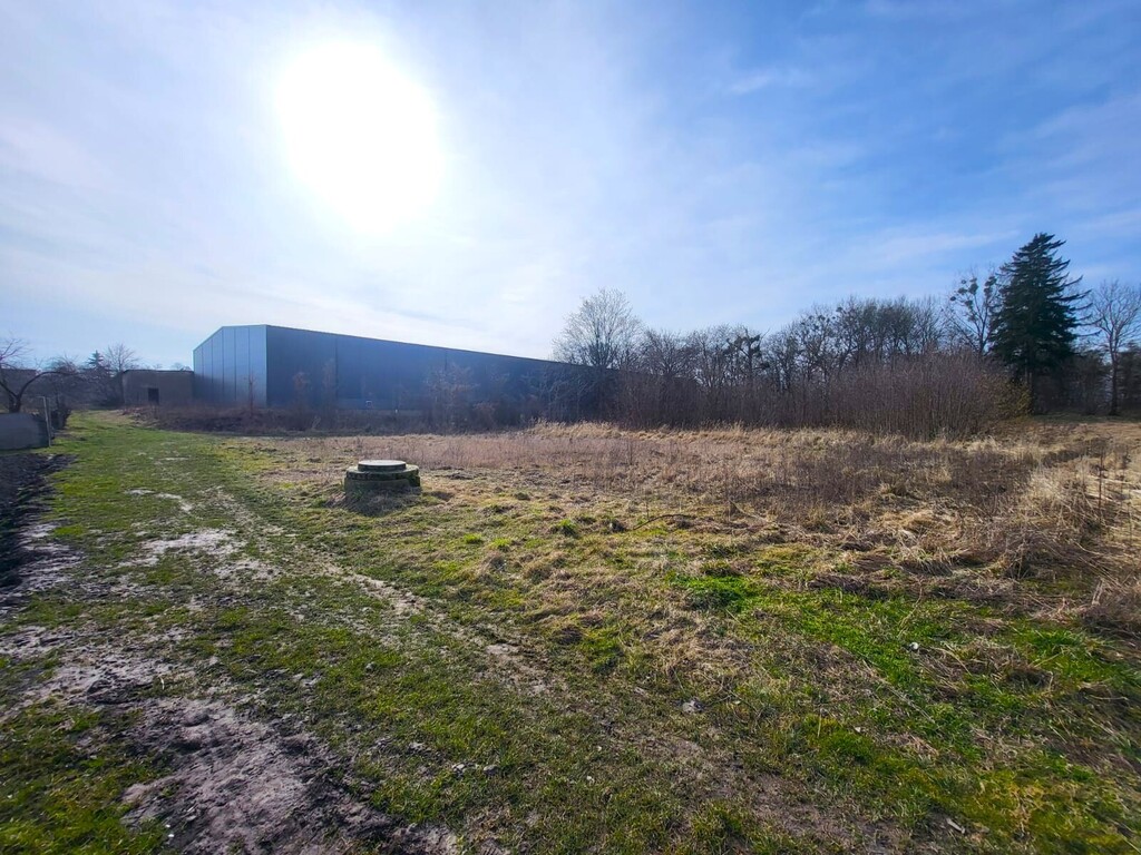 Działka rekreacyjna nad jeziorem Miedwie (3)