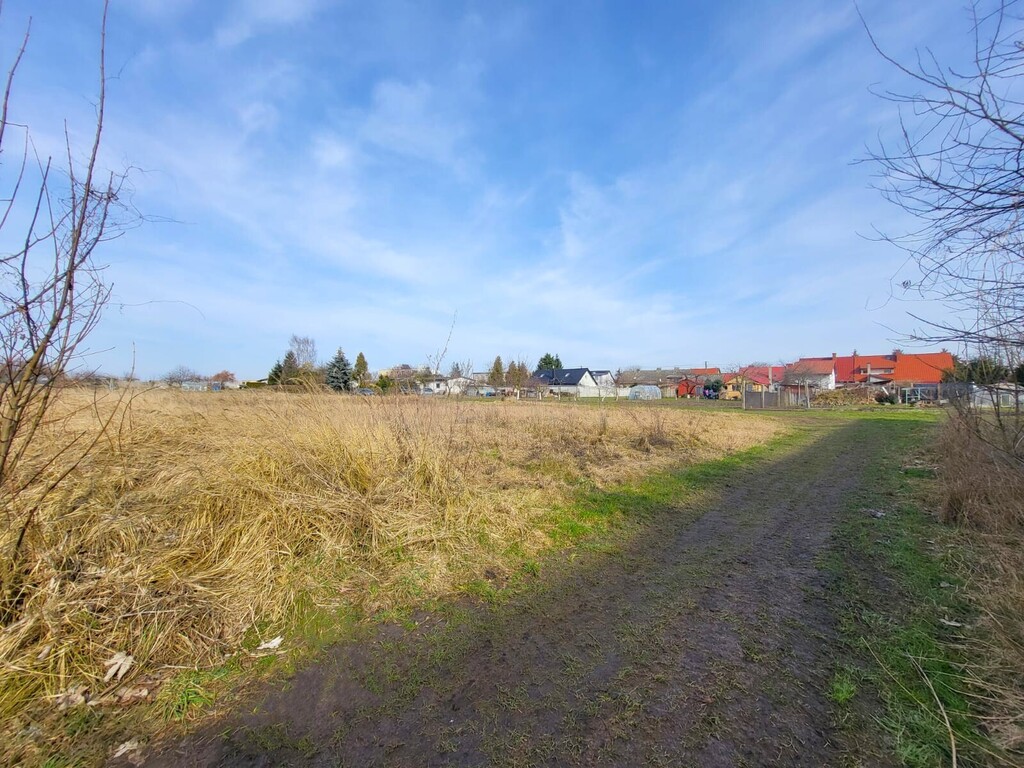 Działka rekreacyjna nad jeziorem Miedwie (2)