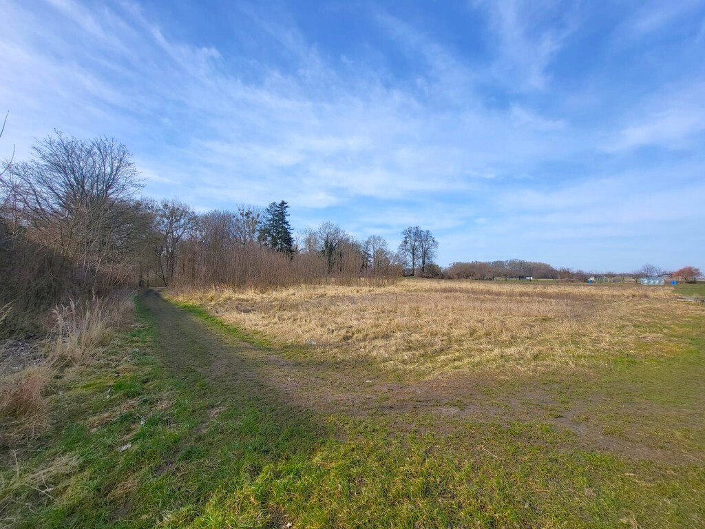 Działka rekreacyjna nad jeziorem Miedwie (1)