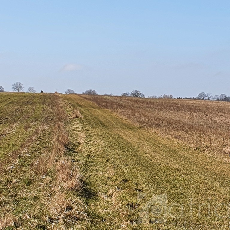 Działka- 3644 m2 nad jeziorem z warunkami zabudowy (3)