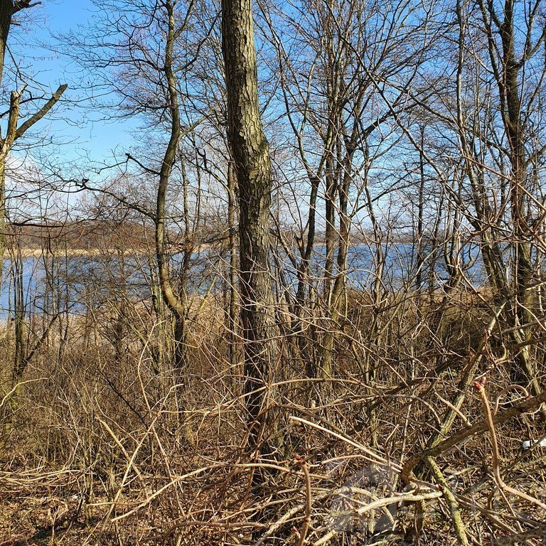 Działka- 3644 m2 nad jeziorem z warunkami zabudowy (4)