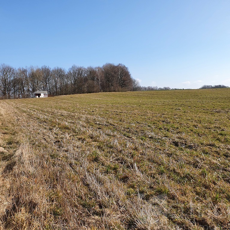 Działka- 3644 m2 nad jeziorem z warunkami zabudowy (5)