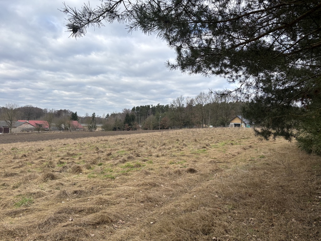 Działki budowlane przy ścianie lasu (8)