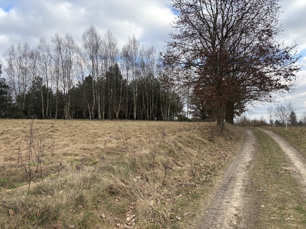 Działki budowlane przy ścianie lasu (9)