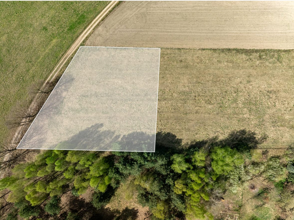 Działki budowlane przy ścianie lasu (2)