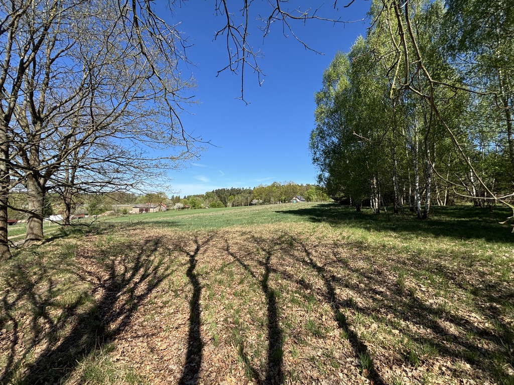 Działki budowlane przy ścianie lasu (3)