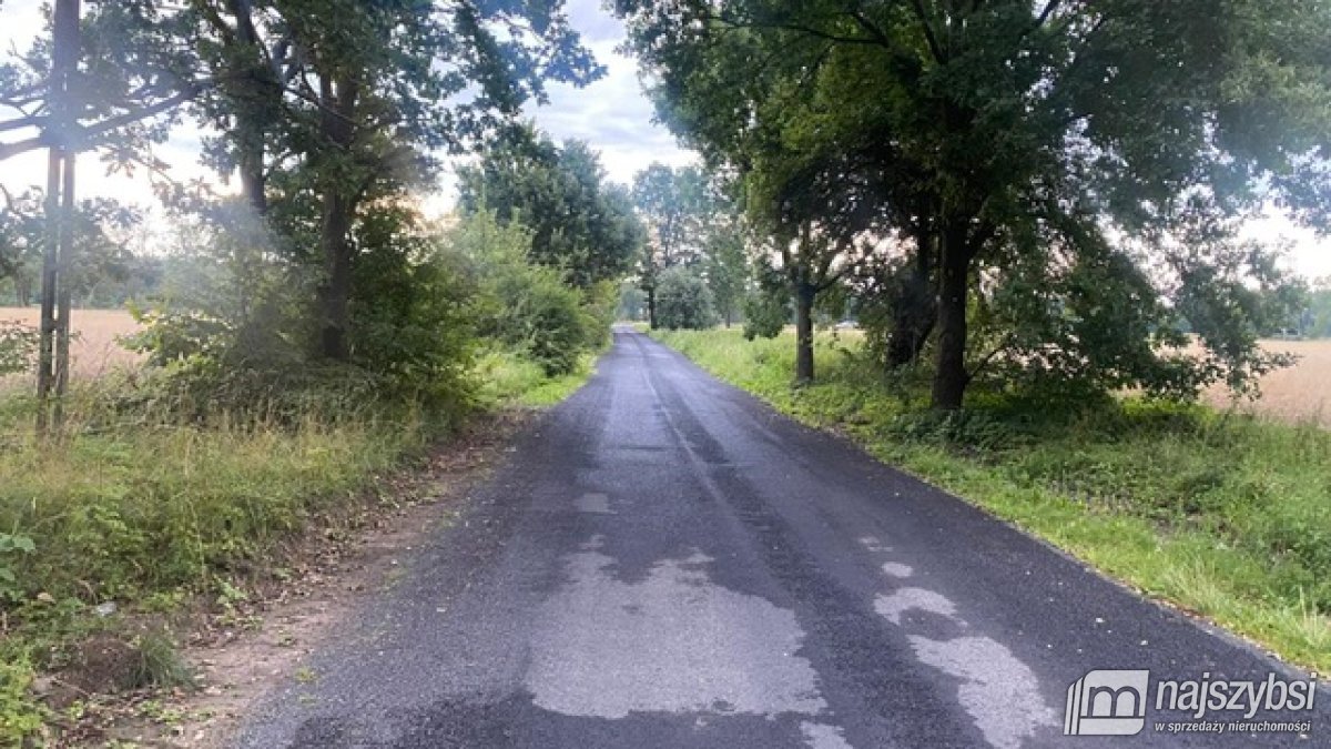 Gardna- duża działka blisko miasta (21)