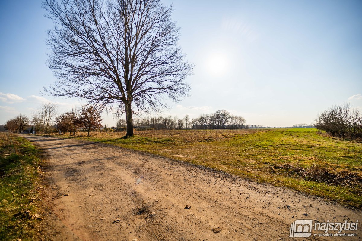 Gardna- duża działka blisko miasta (6)