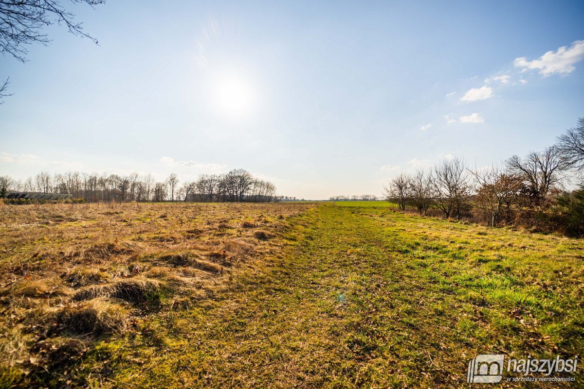 Gardna- duża działka blisko miasta (9)