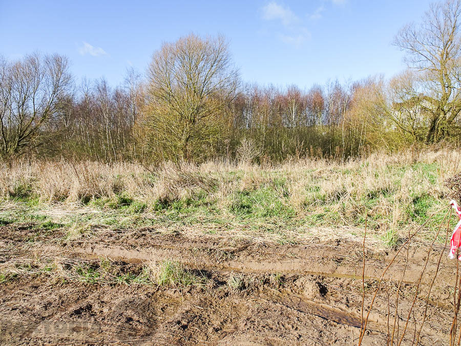 Dobra Szcz. działka z MPZP 2001 m2 440220 zł (3)