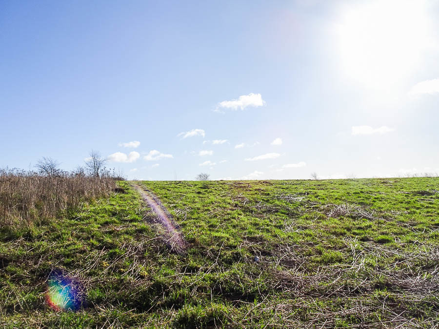 Dobra Szcz. działka z MPZP 2001 m2 440220 zł (4)