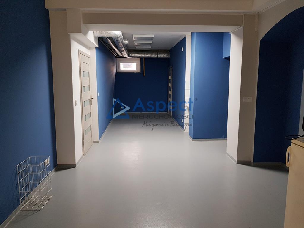 Lokal 271m2 handel usługi produkcja (5)