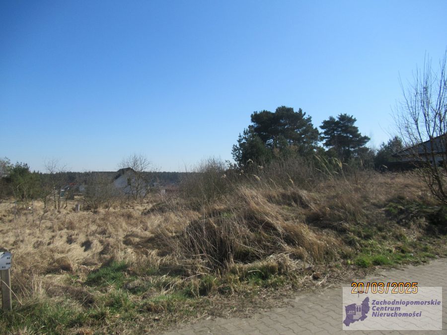 Atrakcyjna działka w Kobylance. (2)