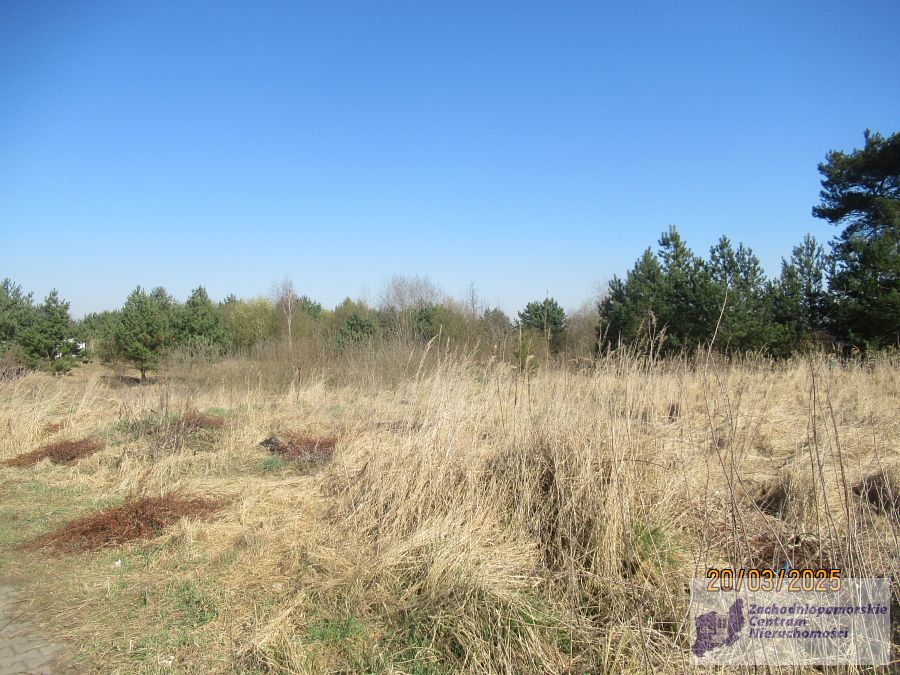 Atrakcyjna działka w Kobylance. (3)