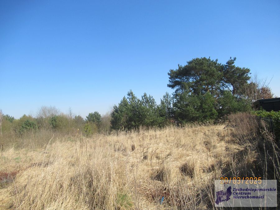 Atrakcyjna działka w Kobylance. (4)