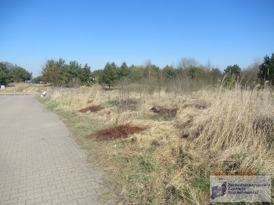 Atrakcyjna działka w Kobylance. (5)