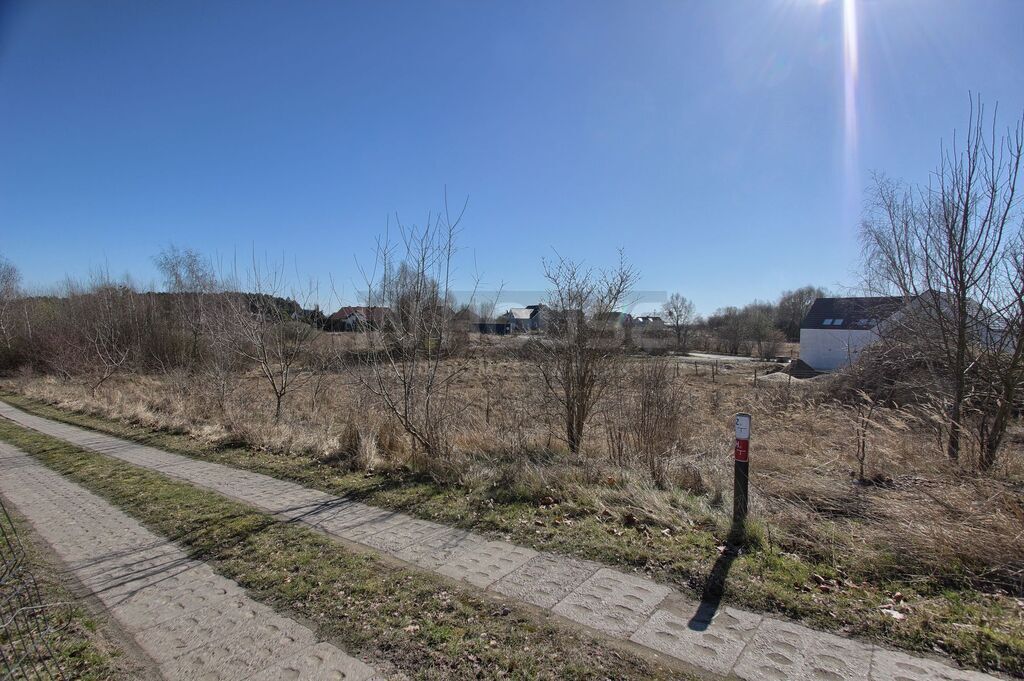 Mierzyn Artemidy Osiedle (10)