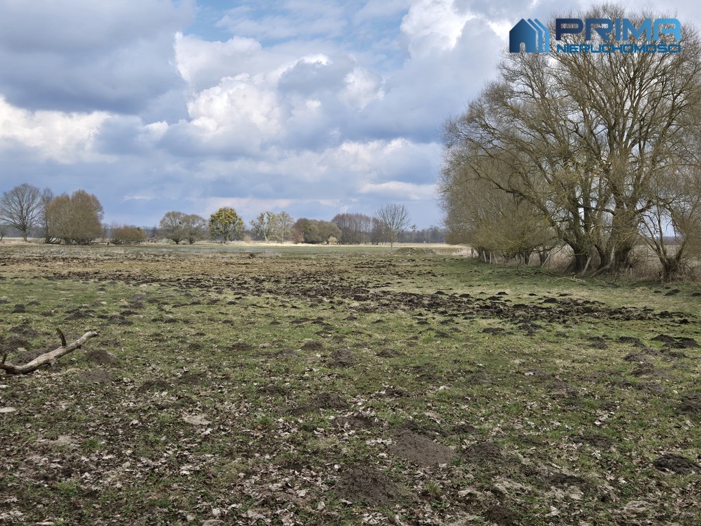 Działka Rzędziny (1)