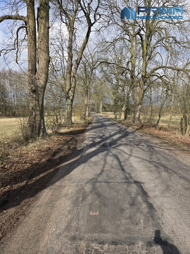 Działka Rzędziny (3)