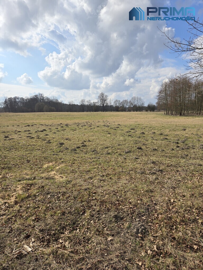 Działka Rzędziny (2)