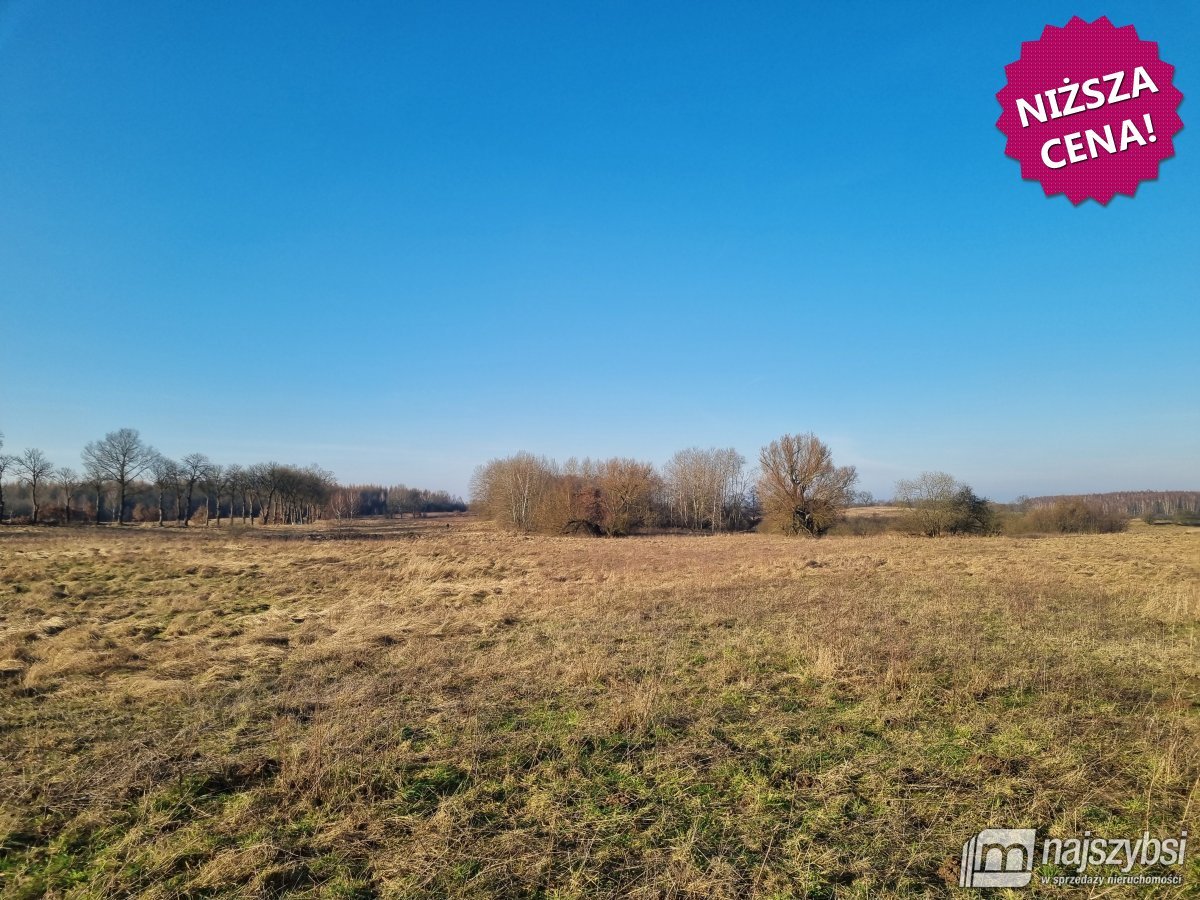 Węgorzyno - obrzeża, ziemia rolna 26 ha (1)