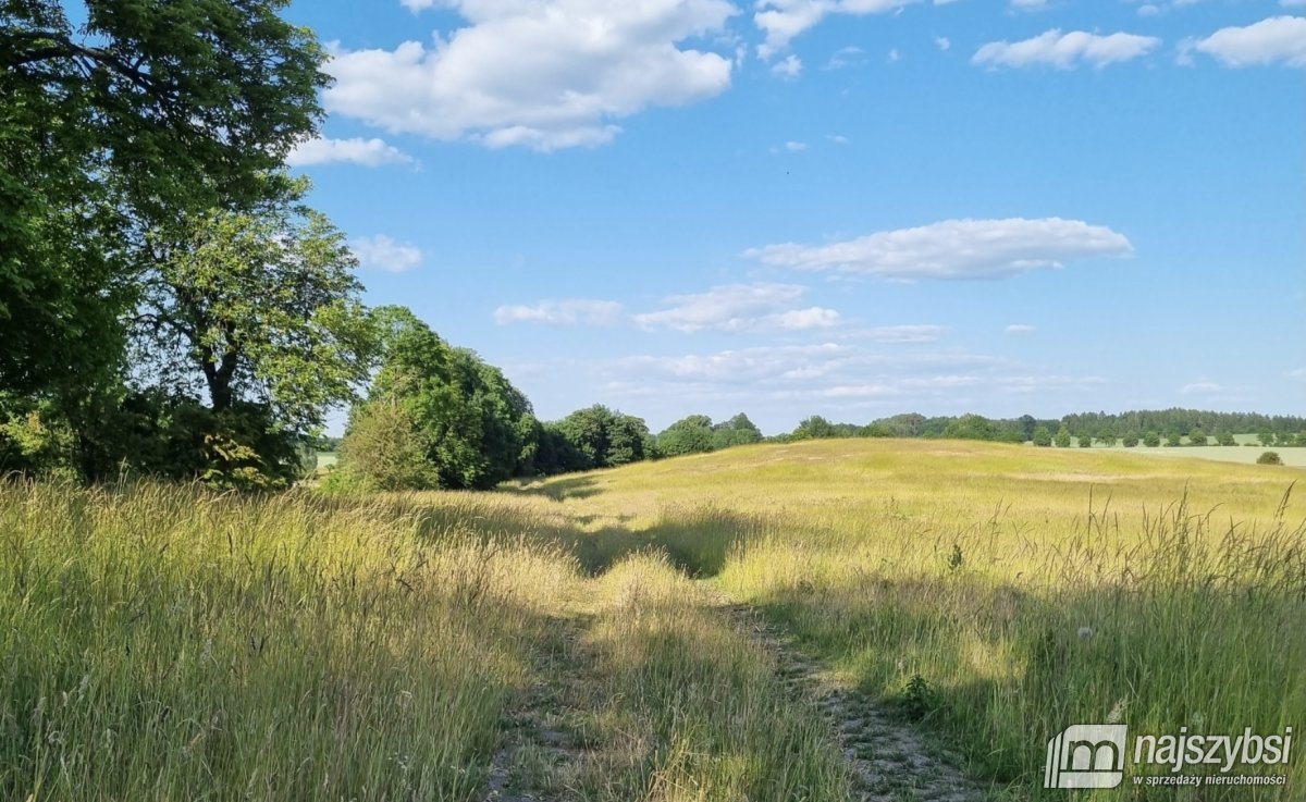 Węgorzyno - obrzeża, ziemia rolna 26 ha (2)