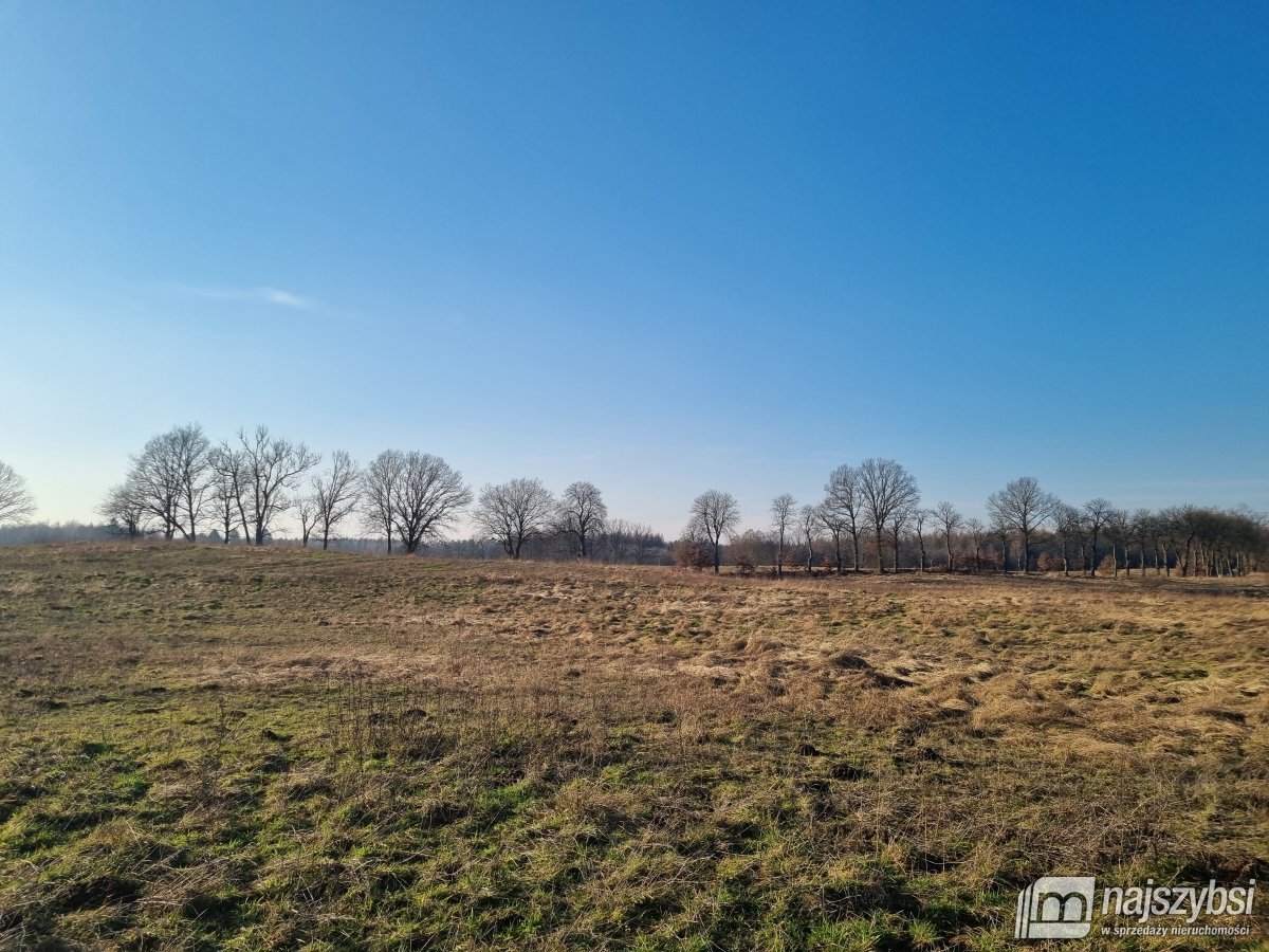 Węgorzyno - obrzeża, ziemia rolna 26 ha (3)