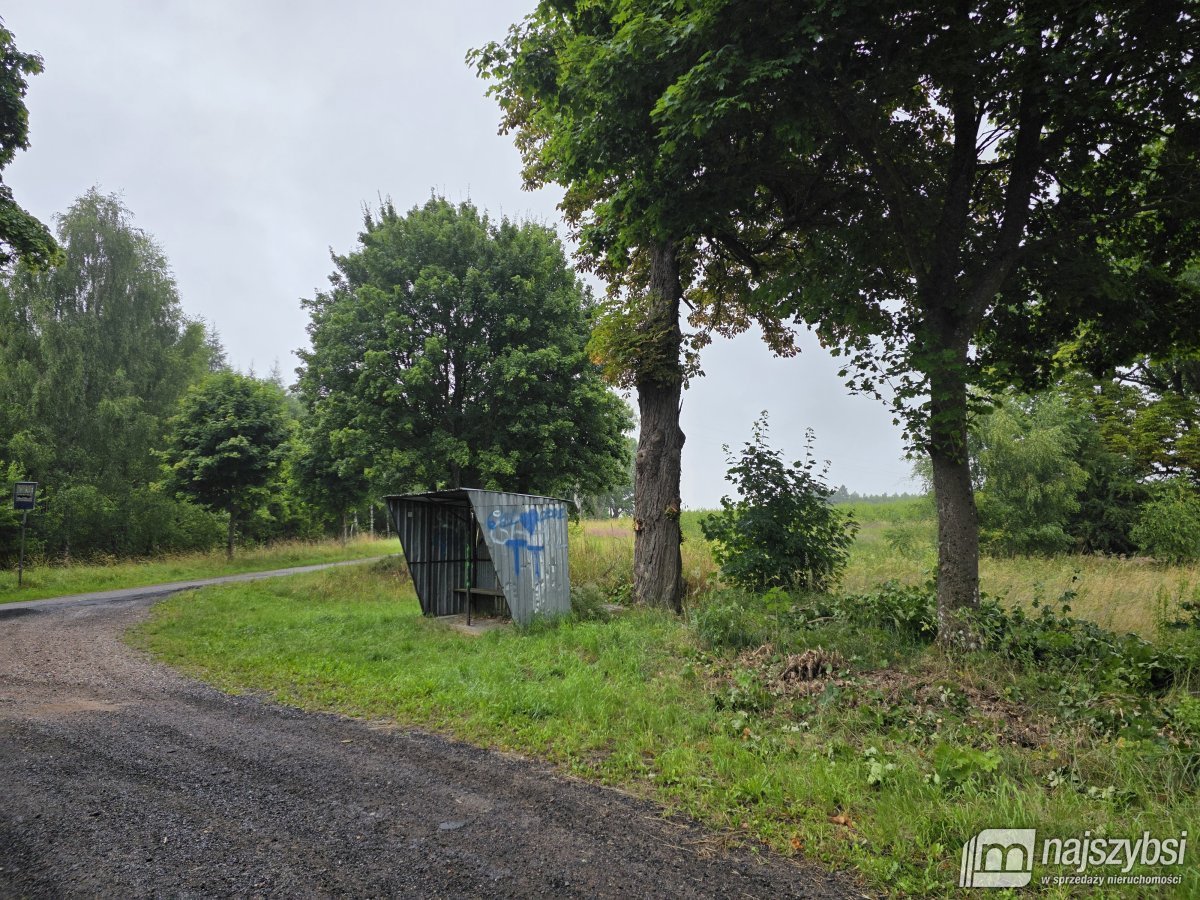 Węgorzyno - obrzeża, ziemia rolna 26 ha (4)
