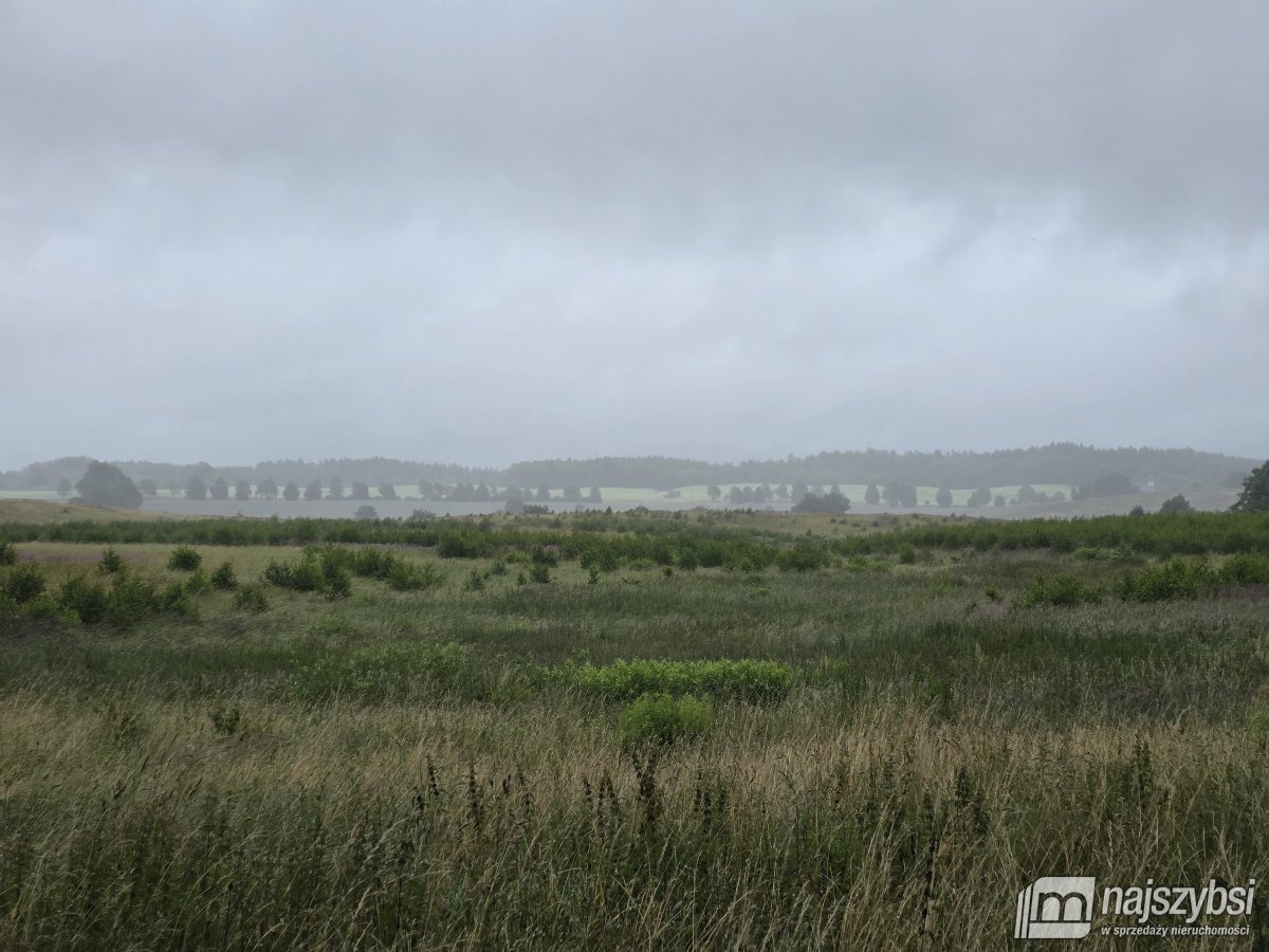 Węgorzyno - obrzeża, ziemia rolna 26 ha (5)