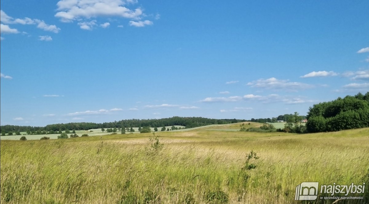 Węgorzyno - obrzeża, ziemia rolna 26 ha (6)