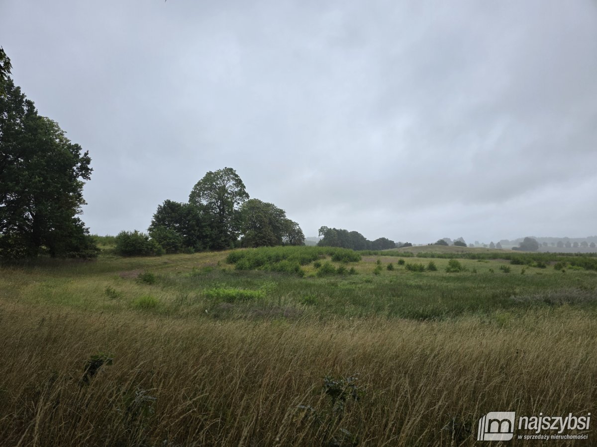 Węgorzyno - obrzeża, ziemia rolna 26 ha (7)