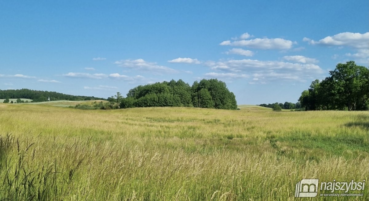 Węgorzyno - obrzeża, ziemia rolna 26 ha (8)
