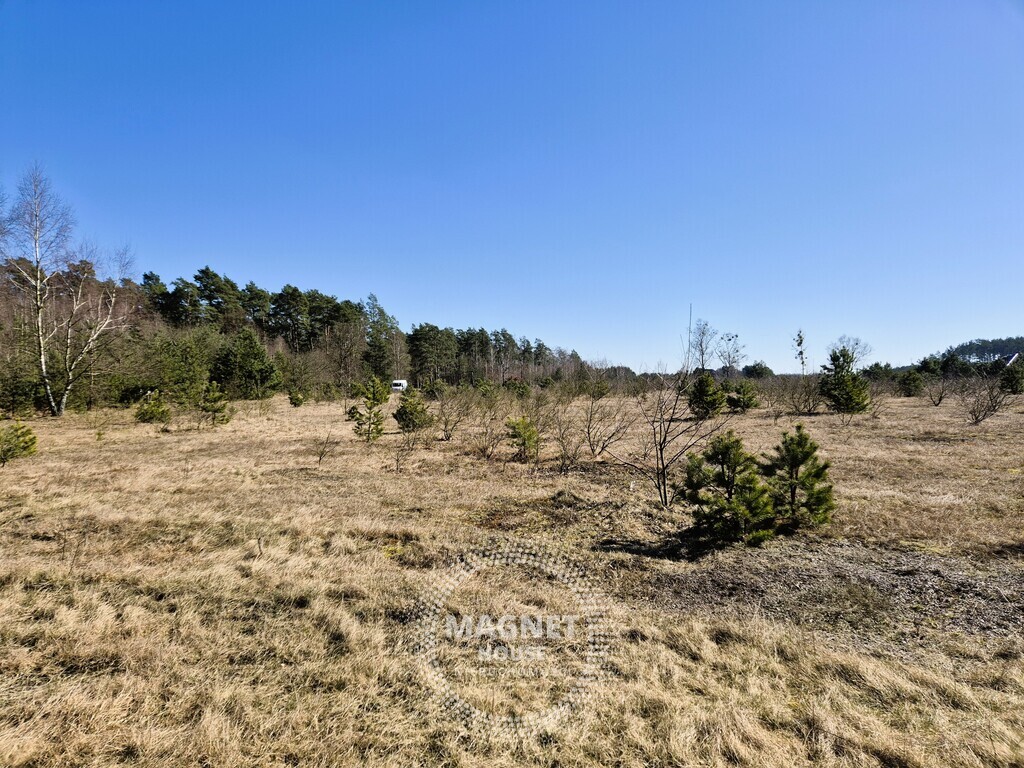 Działki pod lasem | Miękowo | dobre mpzp blisko S3 (14)